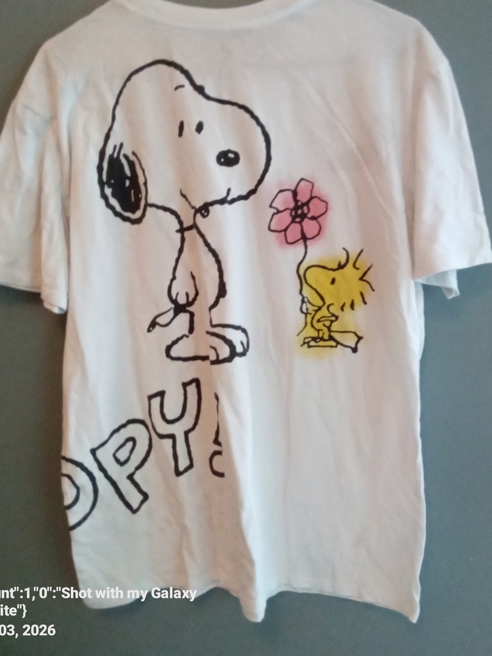 Peanuts Snoopy Woodstock Graphic T-Shirt White Crew Neck Short Sleeve Mens M
